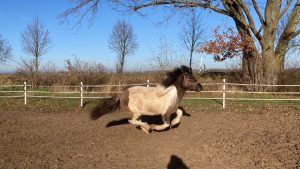 IMG_2871_1408x792